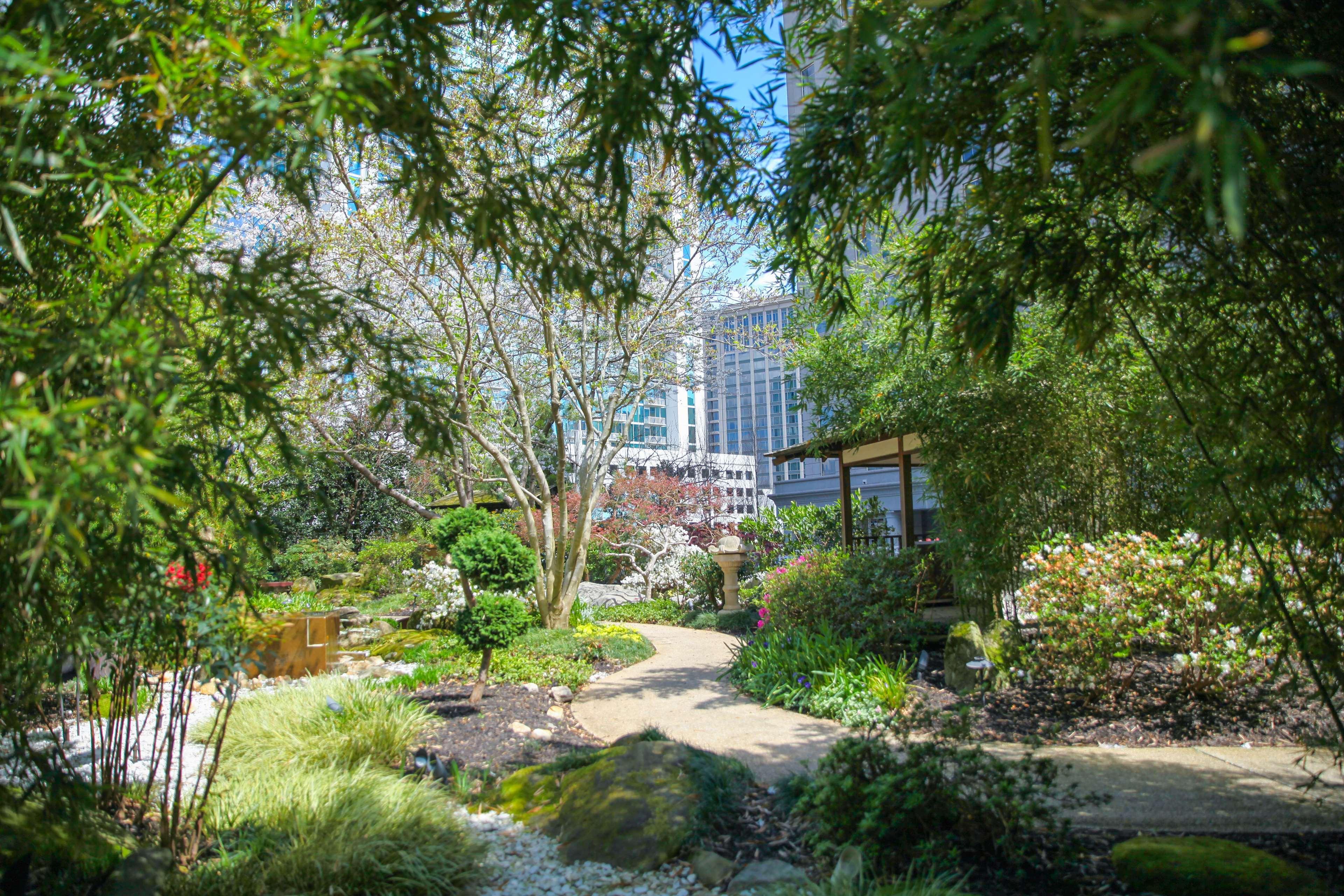 מלון Grand Hyatt Atlanta In Buckhead מראה חיצוני תמונה