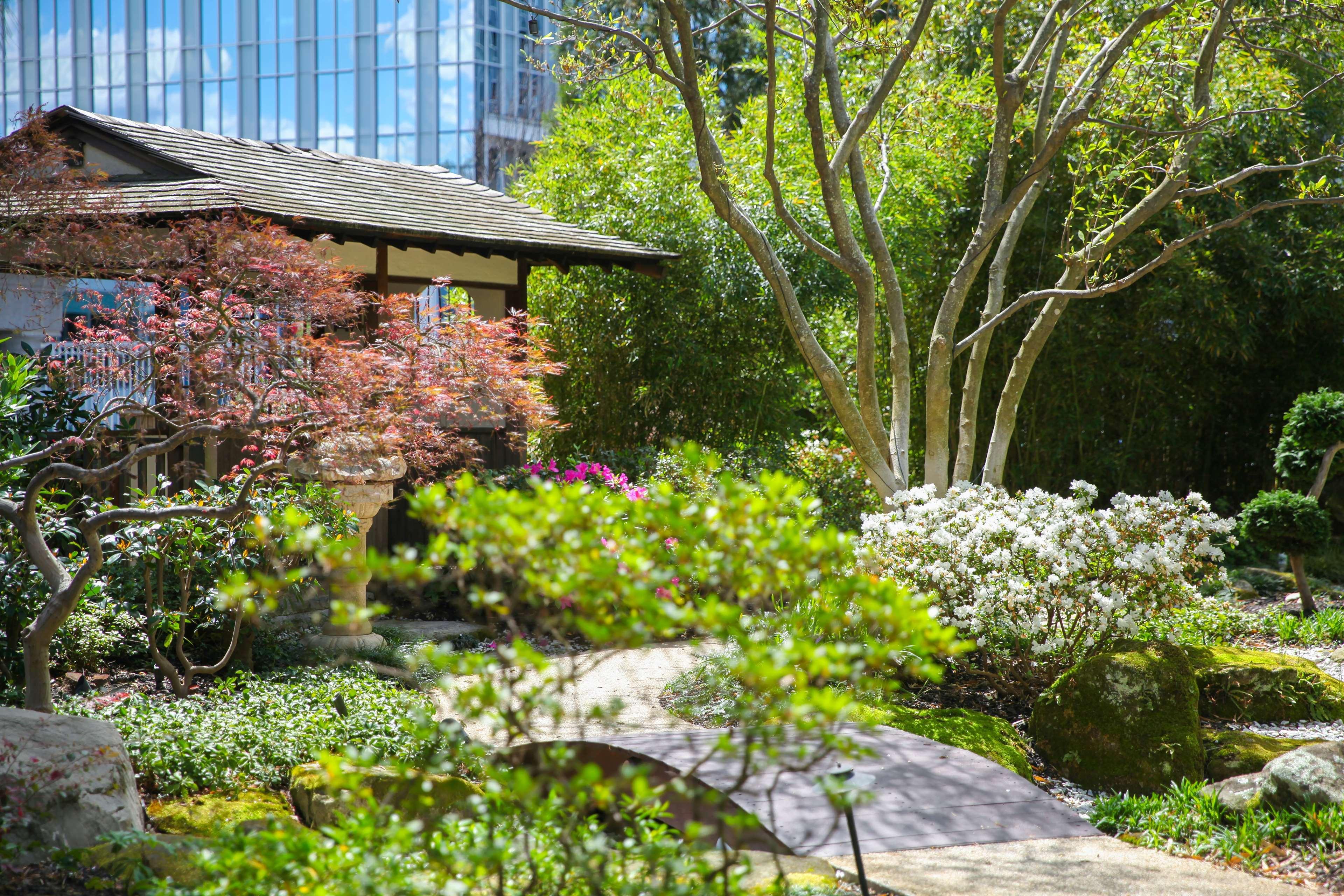 מלון Grand Hyatt Atlanta In Buckhead מראה חיצוני תמונה